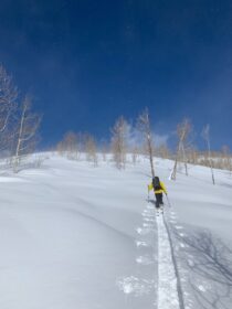 Splitboarding the Wasatch Splitboarding in the Wasatch